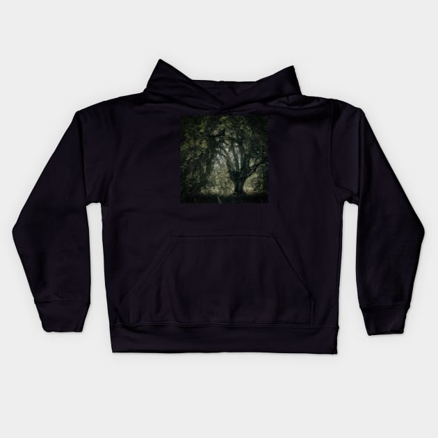 'Veneration', a notable beech tree, Highland Perthshire. Kids Hoodie by mucklepawprint